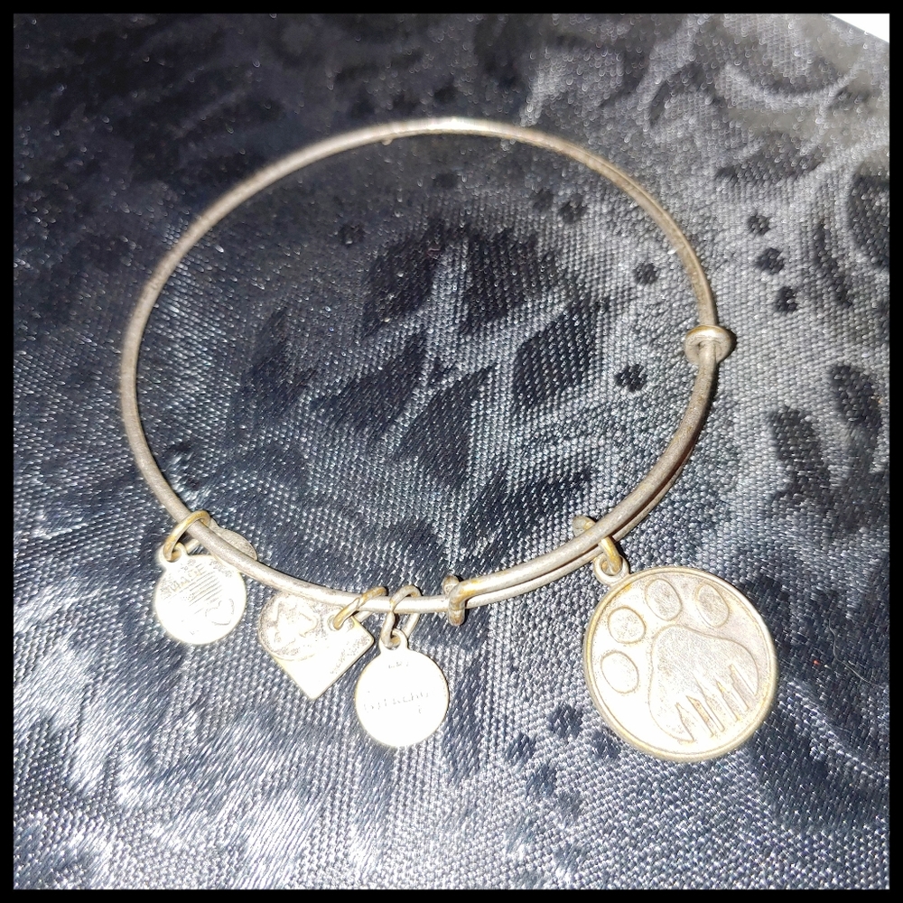 Alex and Ani Energy Infused Bear Paw Bracelet - Picture 2 of 5